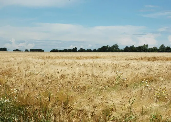 Wildt Petersdorf auf Fehmarn